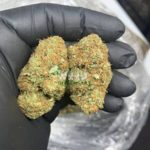 Sour Tangie