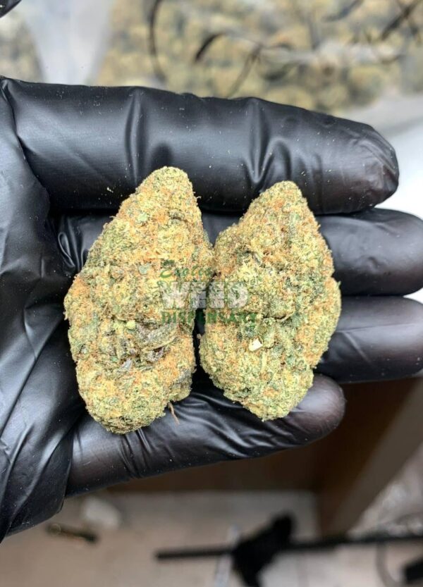 OG Kush Breath