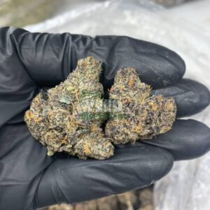 Purple Skunk