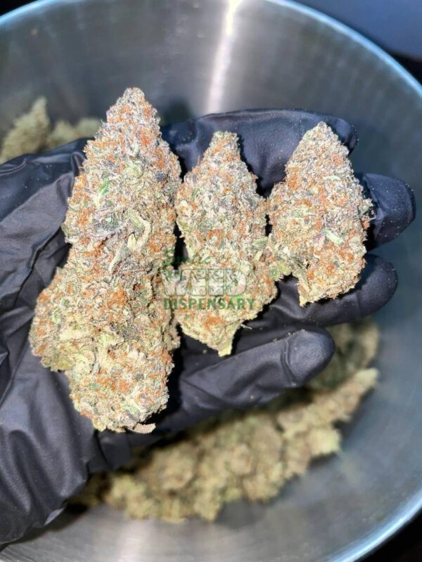 Purple Dream
