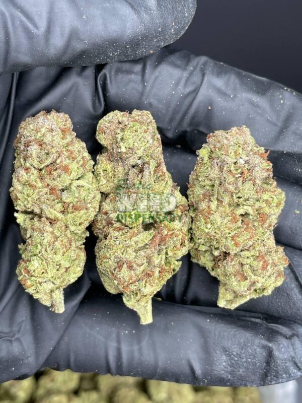 Chemdawg 4
