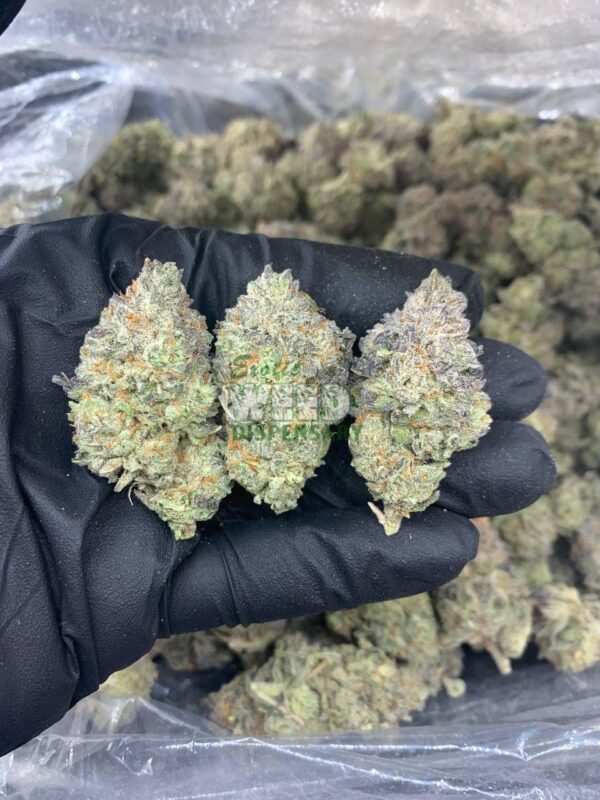Bubba OG