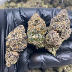 blueberry kush strain