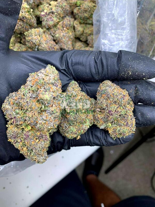 Pink Cookies Strain