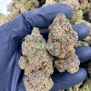 Jack Diesel