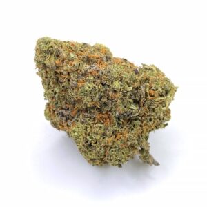 black cherry gelato strain