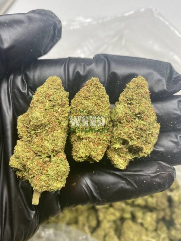 Lemon Skunk