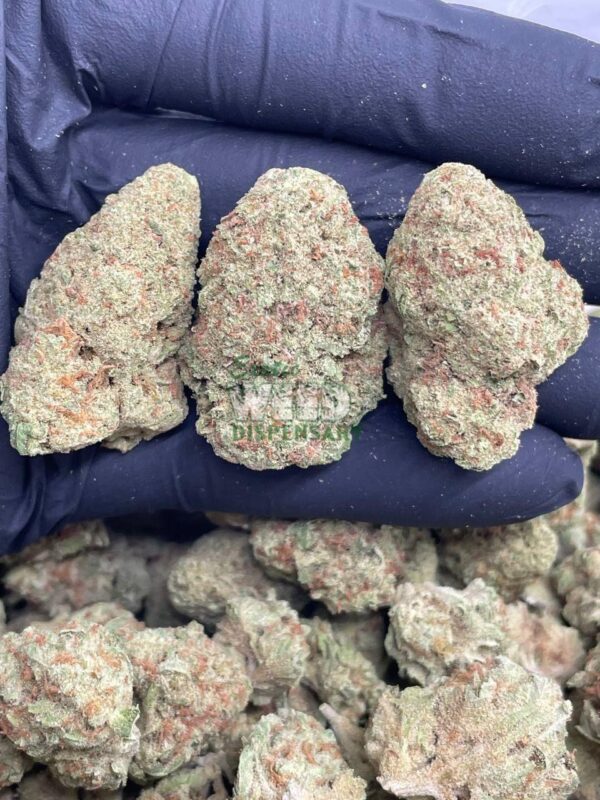 Platinum OG