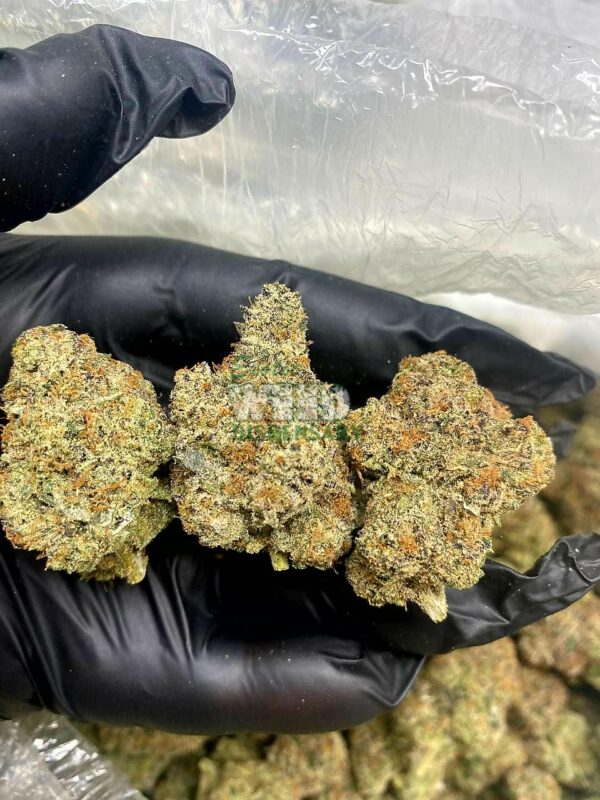 Rockstar OG