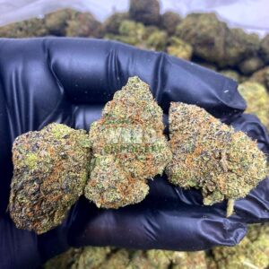 Strawberry Lemonade Strain
