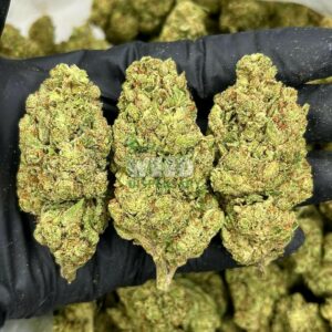 critical Kush