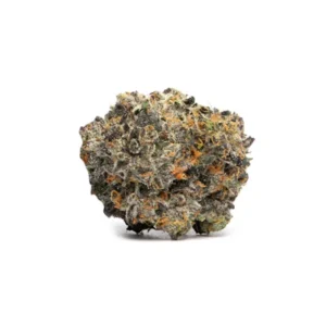 Italian ice strain