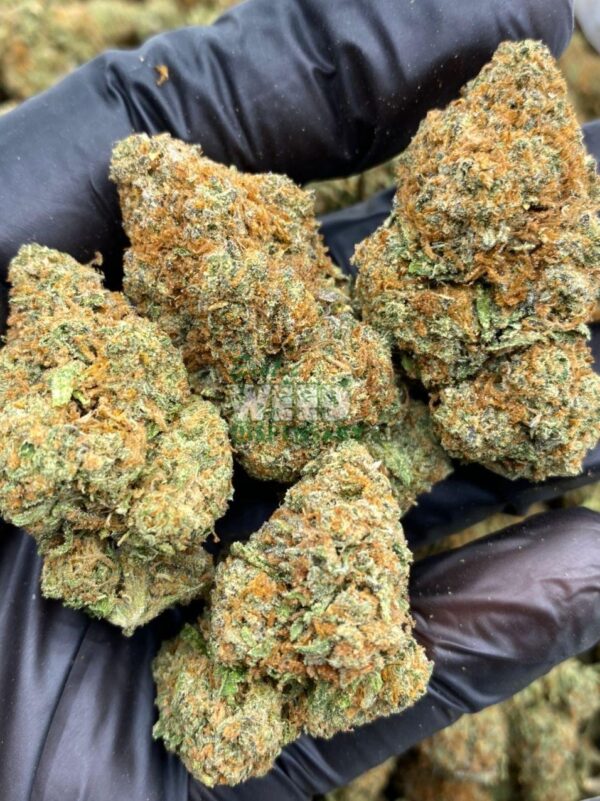 Romulan Strain