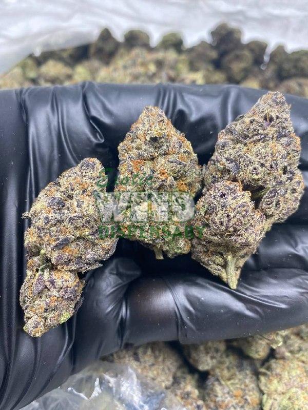 Purple Runtz Strain