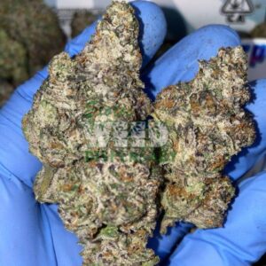 Exotic white bubble gum
