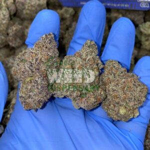 Exotic Biscotti Weed Strain