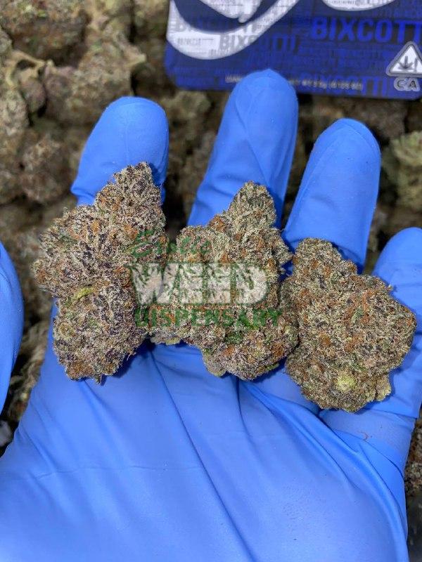 Exotic Biscotti Weed Strain