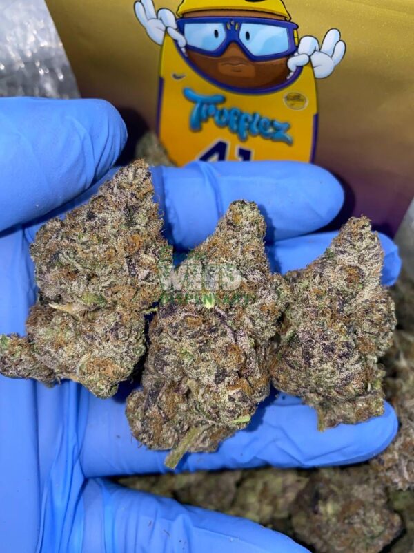 Trufflez Strain