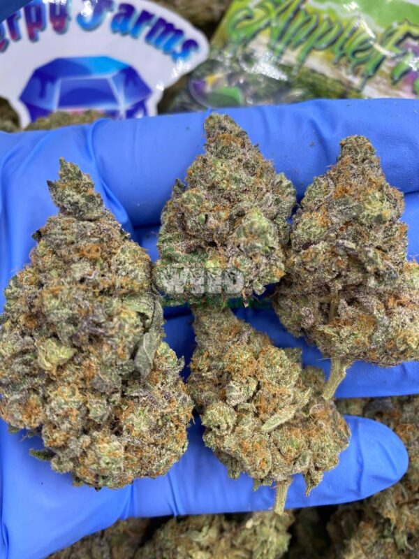 Apple fritter strain
