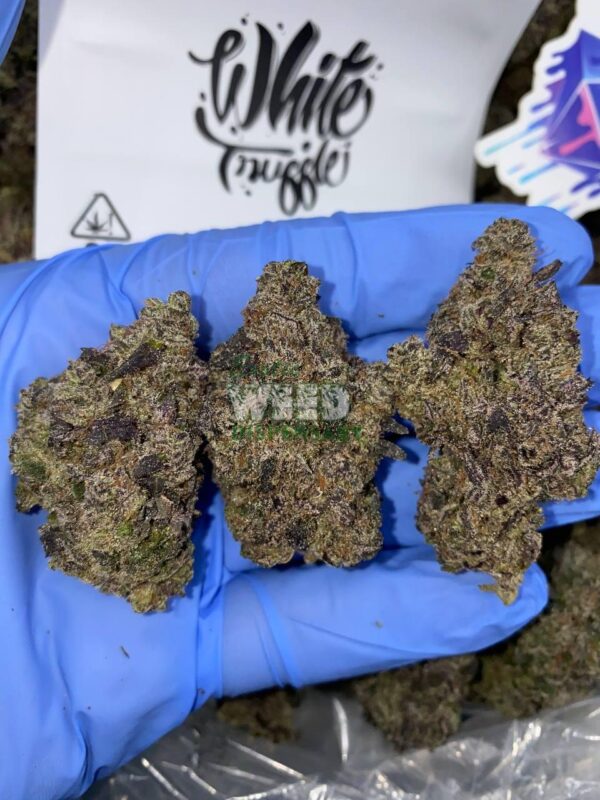 White Truffle