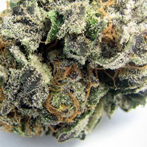 uncle sam og uncle sam og