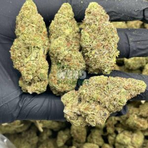 AK 47 Kush