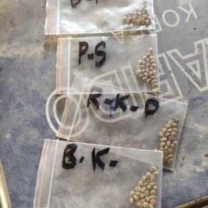 WhatsApp Image 2025-05-14 at 12.09.30_7fbe3300 Non-Solvent