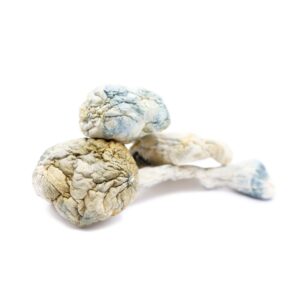 Alien Bubbles Magic mushroom