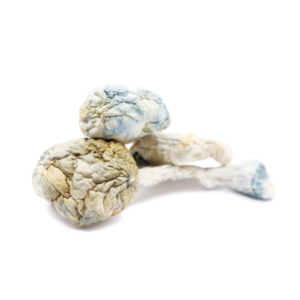 Alien Bubbles Magic mushroom